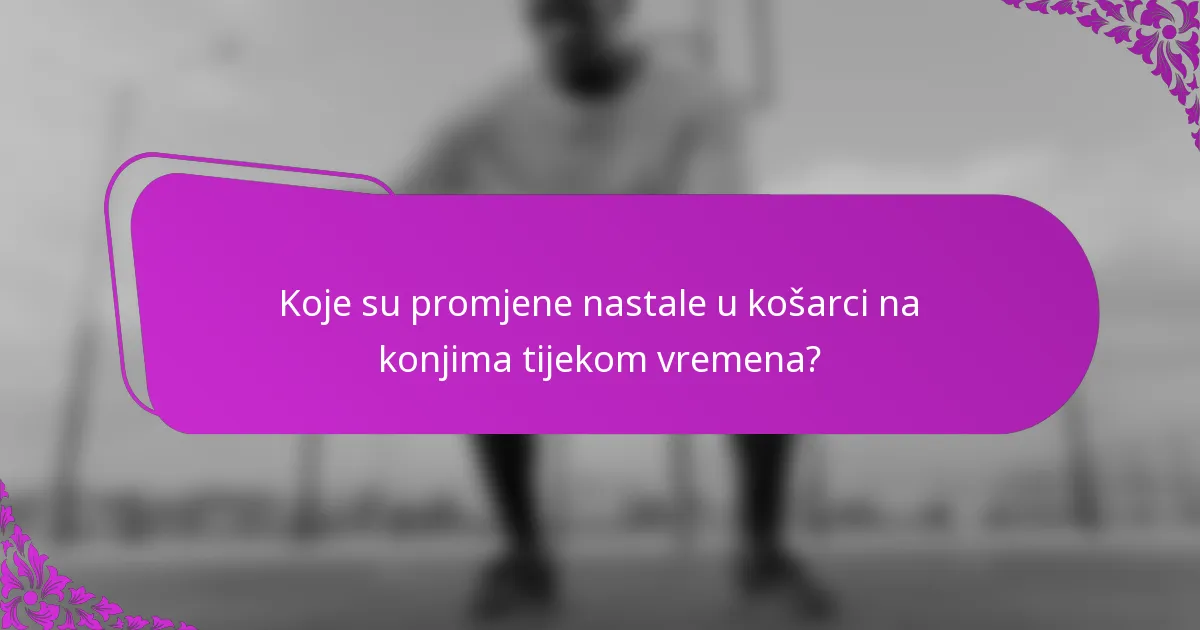 Koje su promjene nastale u košarci na konjima tijekom vremena?